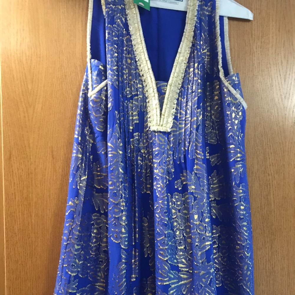 NWT Tanner Silk Dress